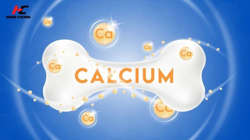 Các vai trò đa năng của Canxi