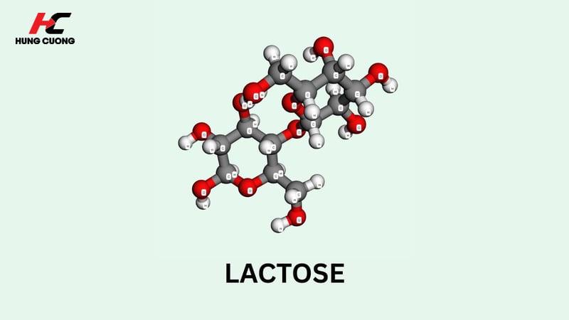 Càng lớn tuổi, enzyme Lactase của ruột non càng bị suy giảm