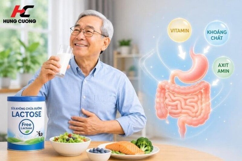 Tối ưu hóa khả năng hấp thu chất dinh dưỡng