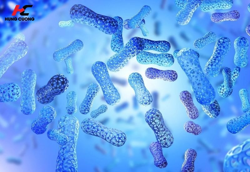 Hiểu đúng về Probiotics đường ruột
