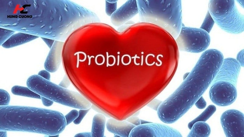 Probiotics chính là các vi sinh vật sống, bao gồm các vi khuẩn có lợi