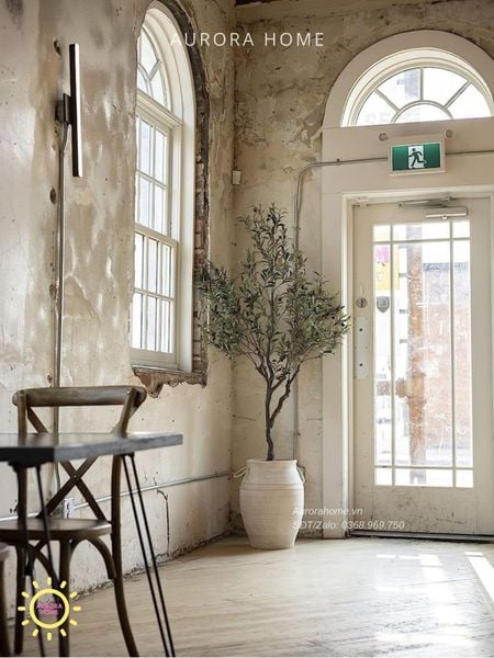 cay-o-liu-gia-trang-tri