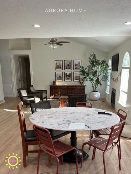 cay-o-liu-gia-trang-tri