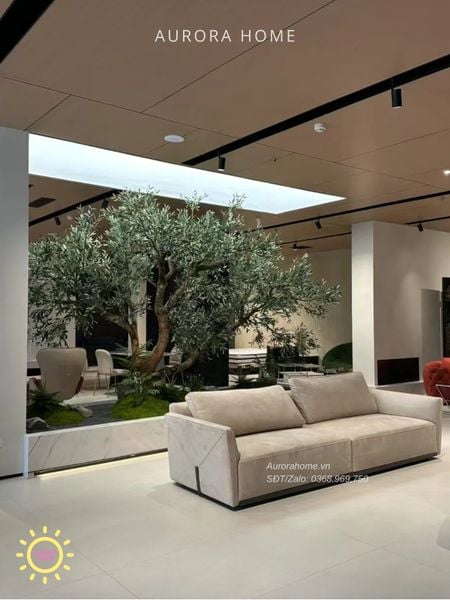 cay-o-liu-gia-trang-tri