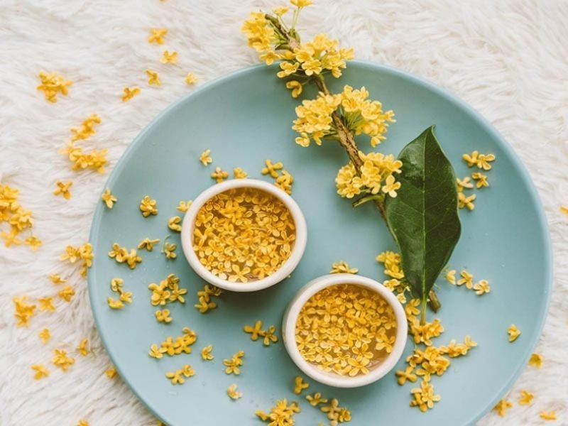 tra-thao-moc-nuoi-duong-mai-toc