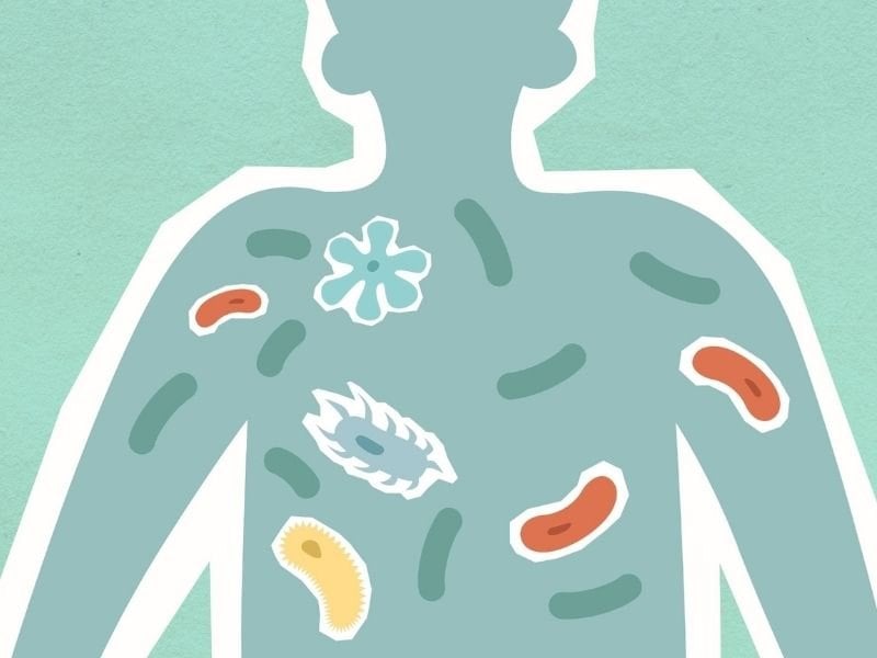 cach-tang-cuong-suc-de-khang