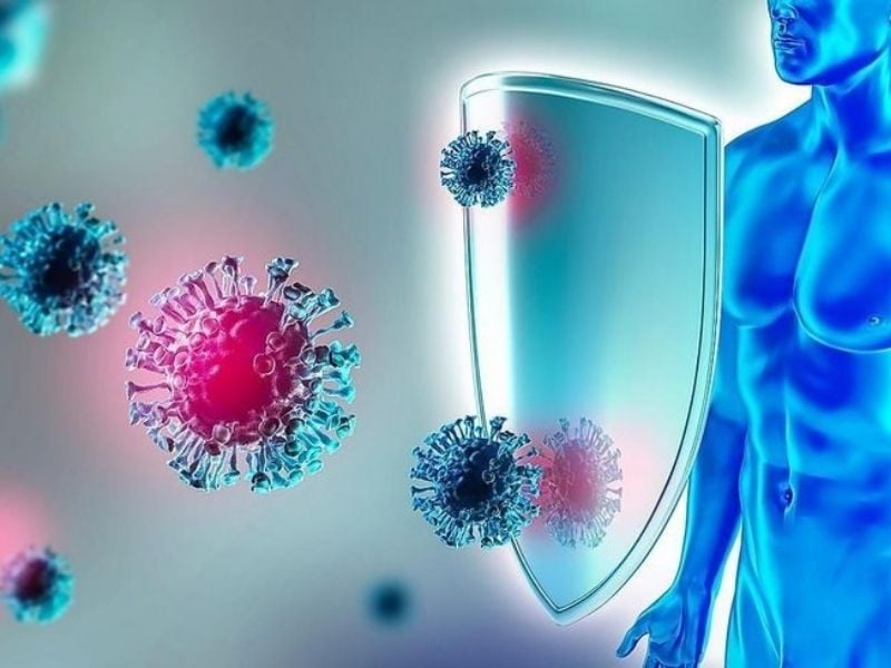 cach-tang-cuong-suc-de-khang