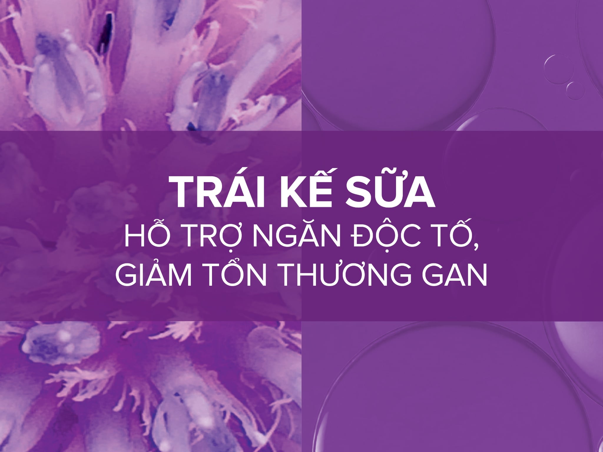 cong-dung-cua-trai-ke-sua