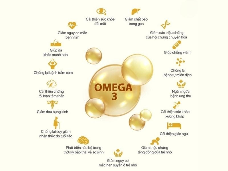 loi-ich-cua-omega-3