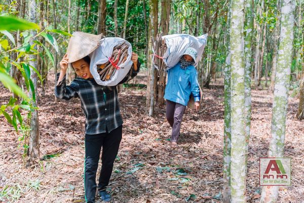 Vu Lan Cho Người Xa Quê: Cách Báo Hiếu Trọn Vẹn Từ Xa