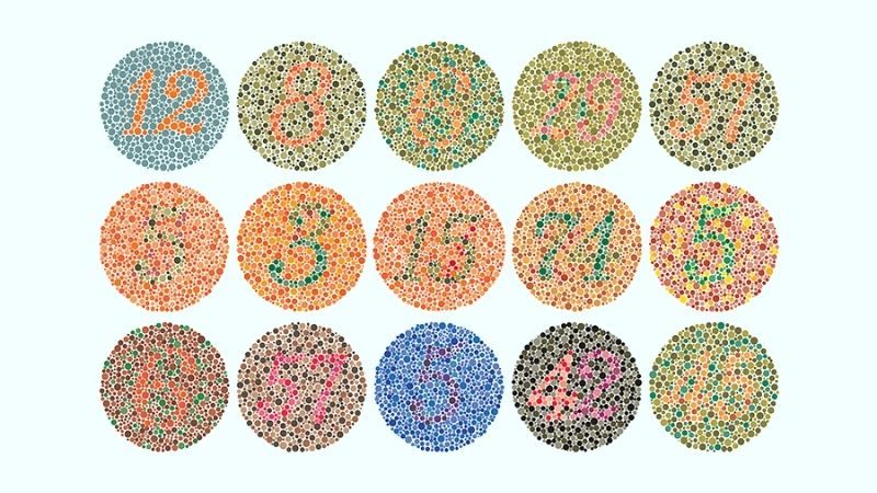 Bảng màu Ishihara thường được sử dụng trong các buổi khám sức khỏe tổng quát hoặc thi bằng lái x