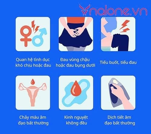triệu chứng viêm bộ phận sinh dục nữ là gì