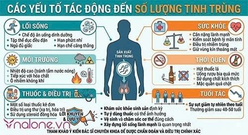 Nam giới mỗi lần xuất bao nhiêu tinh trùng?