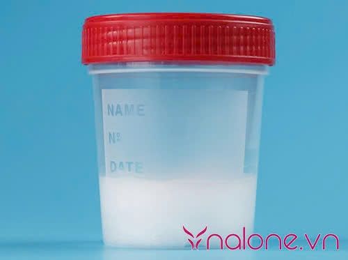 Nuốt tinh trùng có hết mụn không thành phần trong tinh dịch