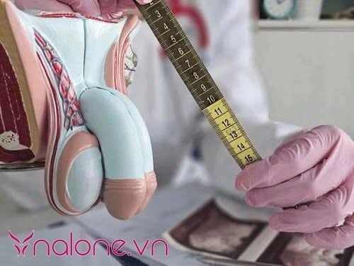 Dương vật phát triển đến bao nhiêu tuổi và khi nào cần gặp bác sĩ