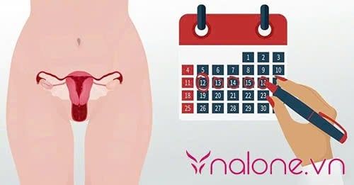 Lý giải quan hệ ngày đèn đỏ có bị vô sinh không