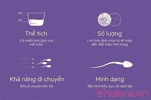 Nam giới mỗi lần xuất bao nhiêu tinh trùng?