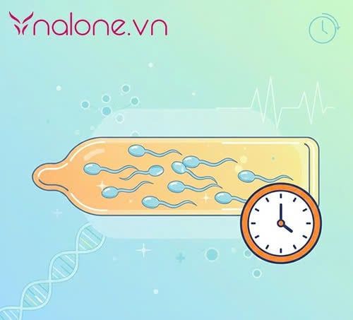 tinh trùng sống được bao lâu trong bao cao su sau khi nam giới xuất tinh