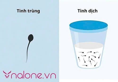 Tinh dịch chứa tinh trùng màu gì thì bị vô sinh