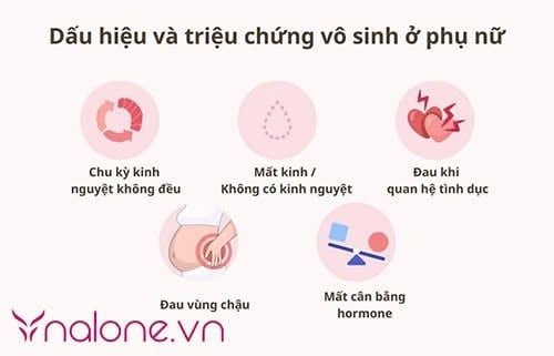 dấu hiệu nữ giới bị vô sinh là gì