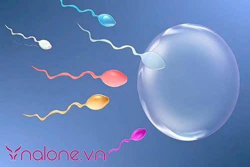 Nam giới có tinh trùng màu gì thì bị vô sinh