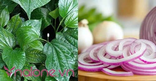 Chữa yếu sinh lý bằng lá lốt trộn gỏi cùng hành tím