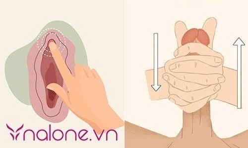 Khi quan hệ nam và nữ ai sướng hơn?