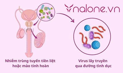 Quan hệ ngày đèn đỏ có bị vô sinh không? rủi ro là gì