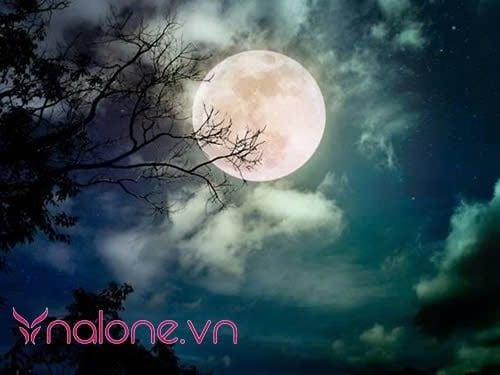 Nghĩa đen của Bạch nguyệt quang là gì