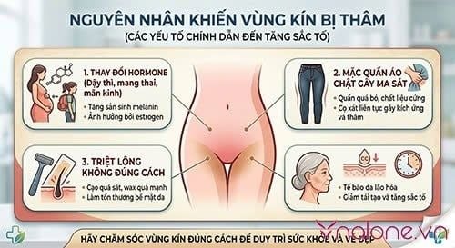 Tại sao vùng kín bị thâm?