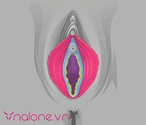 tình trạng môi bé phì đại là gì