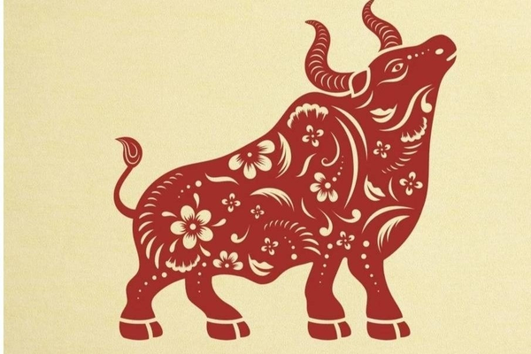 Người sinh năm Ất Sửu 1985 thuộc tuổi Trâu, ứng với mệnh Kim và nạp âm Hải Trung Kim