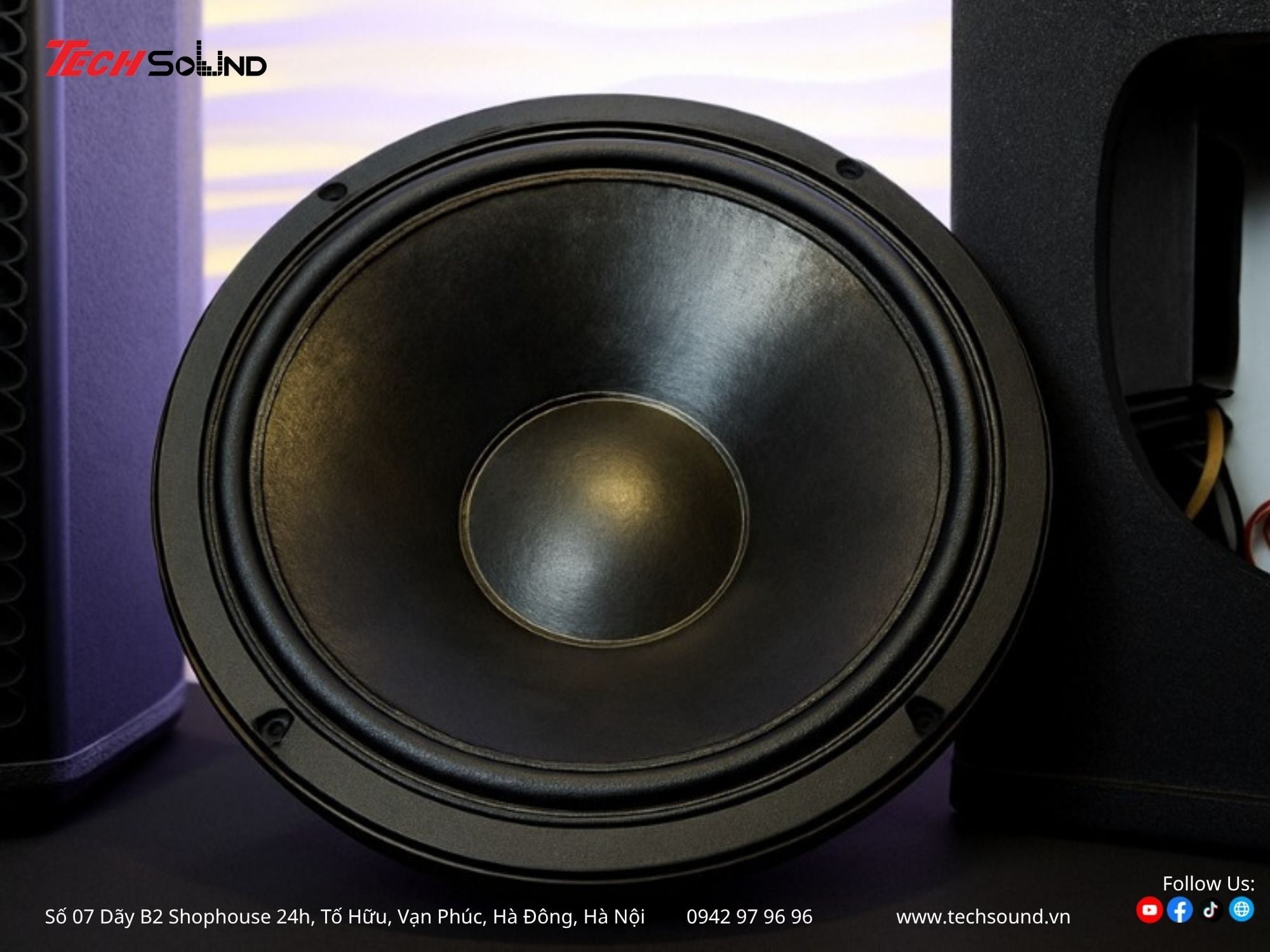 Loa 4-Acoustic V10 2