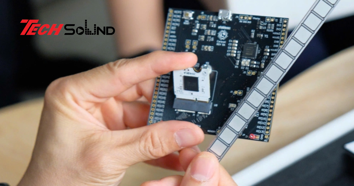 Chip âm thanh sinh học – Khi công nghệ học hỏi từ thính giác con người