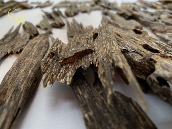 So sánh mùi hương Trầm dựa trên xuất xứ