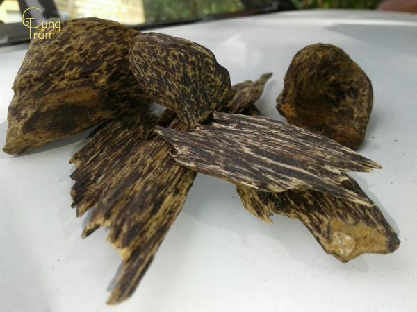 Trầm hương trong văn hóa và tôn giáo của Brunei