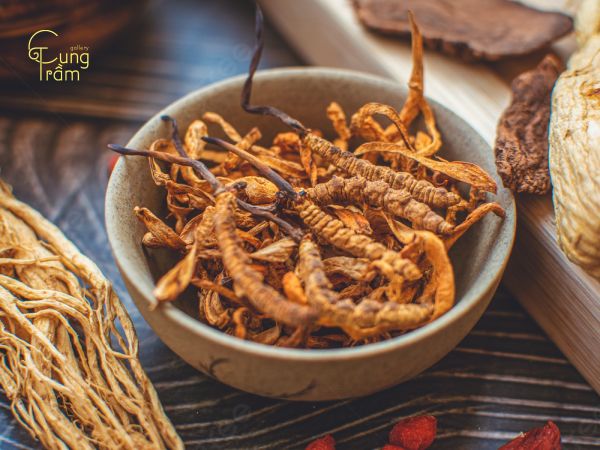 Đông trùng hạ thảo