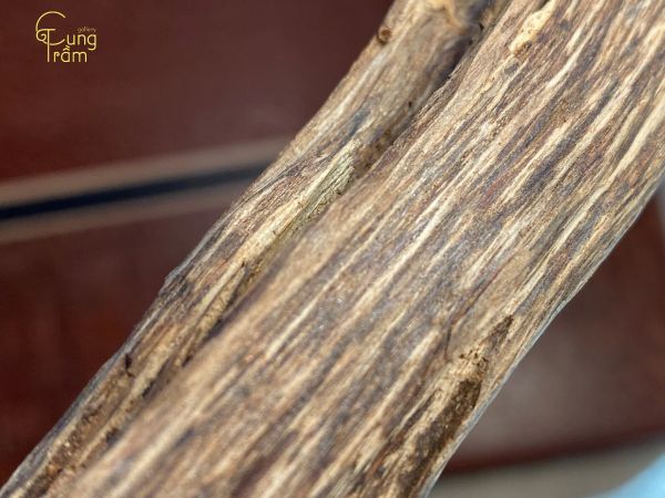 Đặc điểm và giá trị của trầm hương Brunei