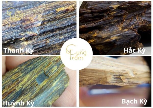 Kỳ Nam - Vua của các loại trầm