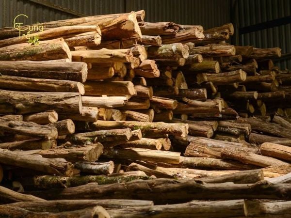 Vì sao Trầm hương&nbsp;- mỗi loại có mùi hương khác nhau