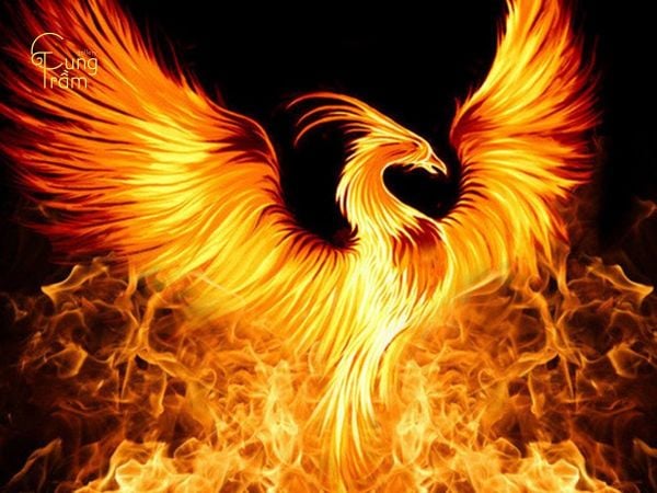 Phượng Hoàng theo góc nhìn Tâm lý học