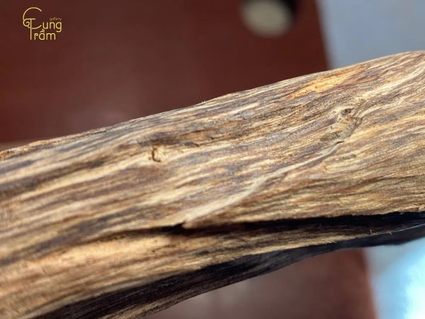 Thị trường tiêu thụ của trầm hương Brunei