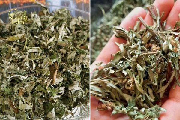 Xông nhà bằng ngải cứu