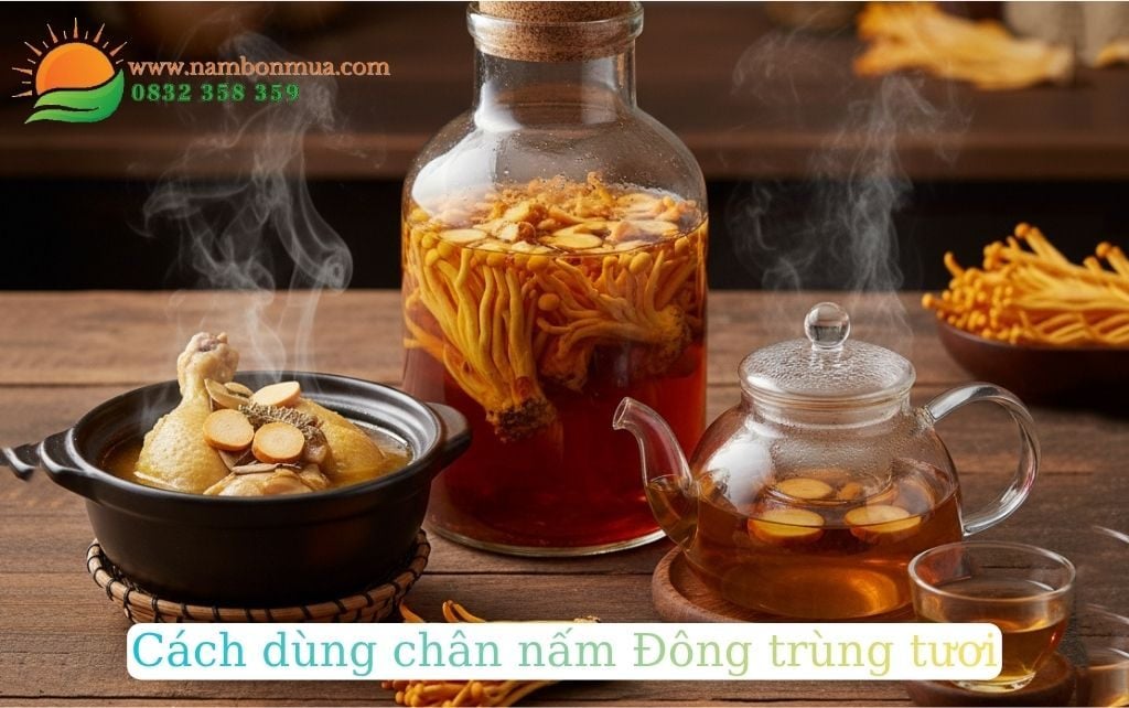 Cong dung va cach dung chan (de) nam Dong trung ha thao.