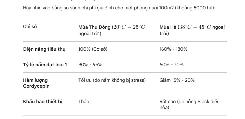 Lang nam Bon Mua ban nam Dong trung ha thao thuong hieu uy tin.