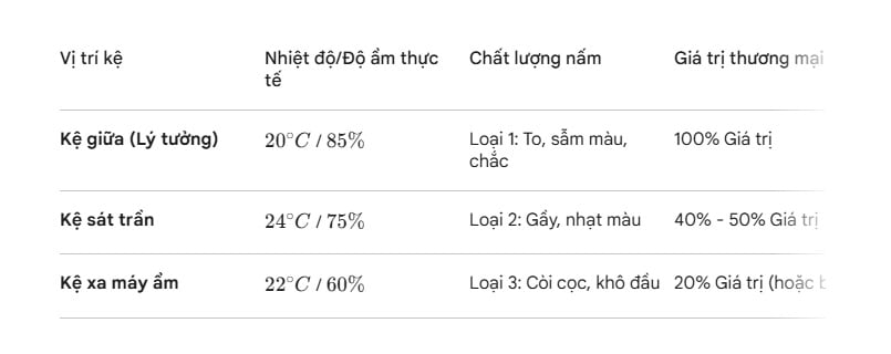 Lang nam Bon Mua ban nam Dong trung ha thao thuong hieu uy tin.