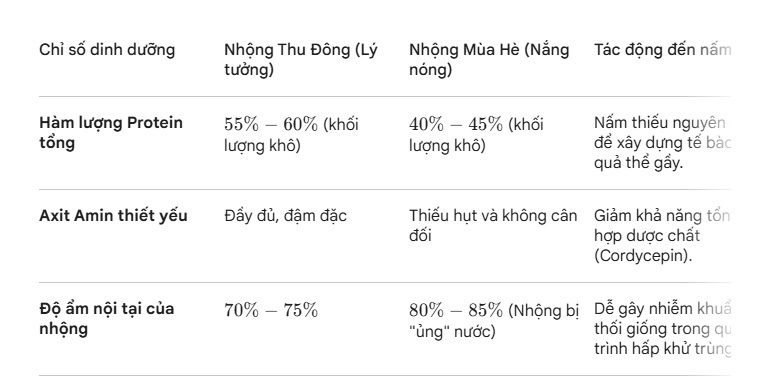 Lang nam Bon Mua ban nam Dong trung ha thao thuong hieu uy tin.