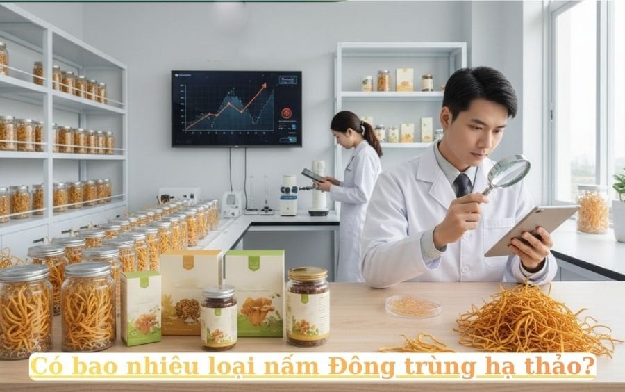 nam Dong trung ha thao cao cap tai Lang nam Bon Mua.