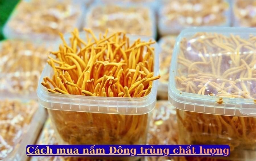 nam Dong trung ha thao cao cap tai Lang nam Bon Mua.
