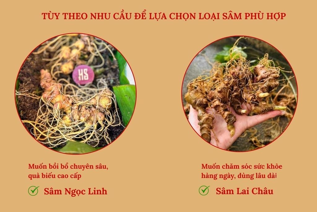 Tùy theo nhu cầu để lựa chọn loại sâm phù hợp
